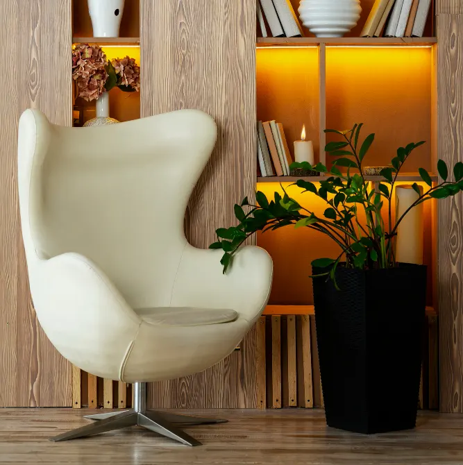 Home Decor